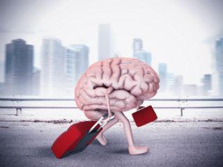 Όλα αυτά τα (πραγματικά) περιστατικά καθρεφτίζουν μία βαθειά και σύνθετη παθογένεια που ξεπερνάει τις οποιεσδήποτε διαρθρωτικές αδυναμίες της οικονομίας. Είναι η σκιαγράφηση μίας πραγματικότητας που μάλλον δεν θέλουμε να δούμε, αλλά στέκει εκεί, πεισματικά μπροστά μας και μάς δείχνει πώς η οικονομική δυσπραγία απέσυρε το χρήμα με το οποίο καλύπταμε σαν χρυσόσκονη τα βαθύτερα προβλήματά μας, την συμπλεγματική μας συμπεριφορά, την απέραντη έλλειψη παιδείας/καλλιέργειας και, εν τέλει, την ανικανότητά μας.