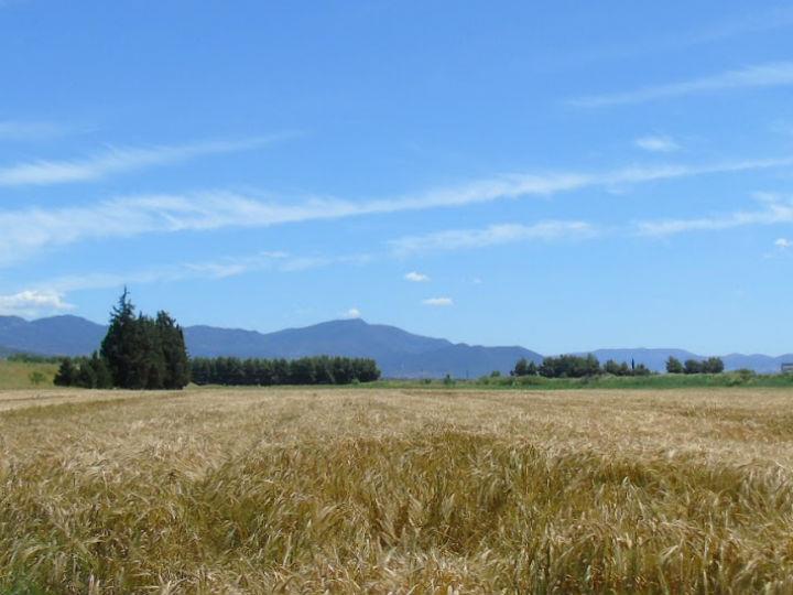 Το υπουργείο Αγροτικής Ανάπτυξης και Τροφίμων και η Γραμματεία Αγροτικής Πολιτικής και Διαχείρισης Κοινοτικών Πόρων έχουν ξεκινήσει μια πρωτόγνωρη διαδικασία διαβούλευσης και συμμετοχής του συνόλου των εμπλεκόμενων φορέων του αγροτικού τομέα για να διαμορφώσουν το περιεχόμενο του Στρατηγικού Σχεδίου της ΚΑΠ 2021-2027.