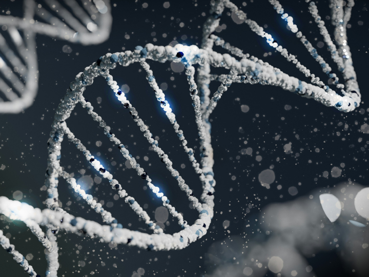 Τα μοτίβα μεθυλίωσης του DNA εξαρτώνται από περιβαλλοντικούς και γενετικούς παράγοντες, ωστόσο προηγούμενα «ρολόγια» που είχαν αναπτυχθεί για τη μέτρηση της βιολογικής ηλικίας δεν μπορούσαν να διακρίνουν τους επιγενετικούς παράγοντες που προκαλούν γήρανση από αυτούς που απλά σχετίζονται με τη διαδικασία της γήρανσης.