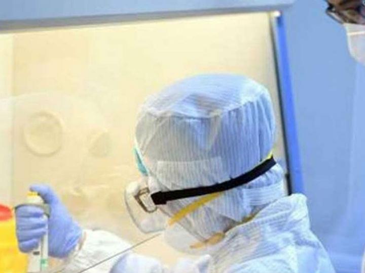 «Ο ιός του συστήματος είναι ο φόβος. Η επιδημία γεννιέται στο φαντασιακό και πεθαίνει αμέσως στις οθόνες των κινητών και το μήνυμα αναπαράγεται σιωπηλά : η ανθρωπότητα δεν κινδυνεύει όσο ο θάνατος αφορά τις υπεράριθμες κοινωνίες.»