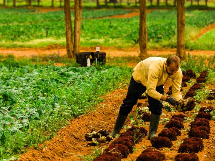 «Για την κυβέρνηση η τόνωση της αγροτικής οικονομίας δεν είναι μόνο όρος εθνικής επιβίωσης. Είναι προϋπόθεση διατήρησης της εθνικής ταυτότητας. Στήριξης της ελληνικής υπαίθρου.»