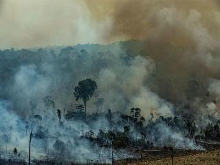 <<Όσα μάς είπε το Συμβούλιο και η Κομισιόν αλλά και όσα μάς λένε οι επιστήμονες και η πραγματικότητα, επιβάλλουν σε εμάς όχι μόνο λόγια αλλά, και δράση. Δεν αρκεί μια συζήτηση. Χρειάζεται να καταλήξουμε σε συμπεράσματα και να πάρουμε μέτρα. Πρέπει να ασκήσουμε πίεση για να σταματήσει η αποψίλωση του Αμαζονίου και η καταστροφή του μεγαλύτερου πνεύμονα του πλανήτη.>>