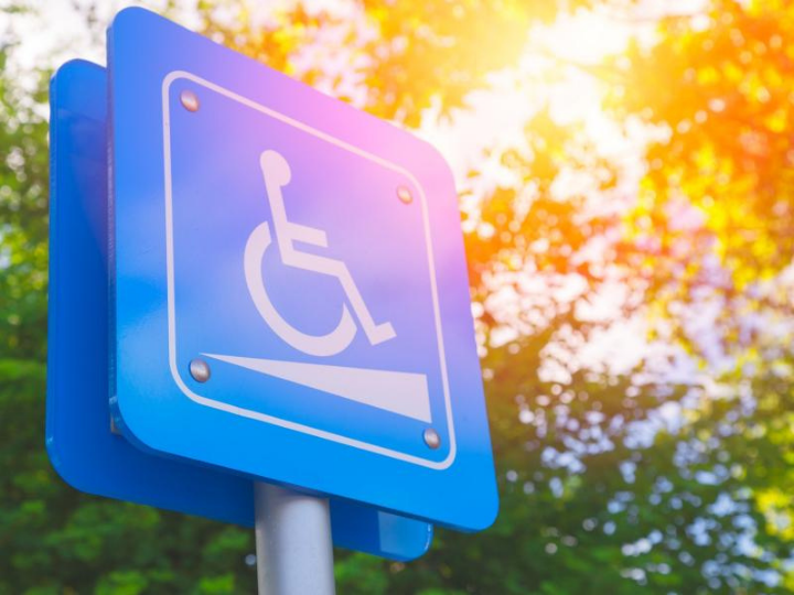 «Η νέα στρατηγική βασίζεται στην προκάτοχό της, την ευρωπαϊκή στρατηγική για την αναπηρία 2010-2020, και συμβάλλει στην υλοποίηση του ευρωπαϊκού πυλώνα κοινωνικών δικαιωμάτων, για τον οποίο πρόκειται να εγκριθεί ένα σχέδιο δράσης αυτή την εβδομάδα από την Επιτροπή και ο οποίος αποτελεί την πυξίδα για τις πολιτικές απασχόλησης και τις κοινωνικές πολιτικές στην Ευρώπη.»