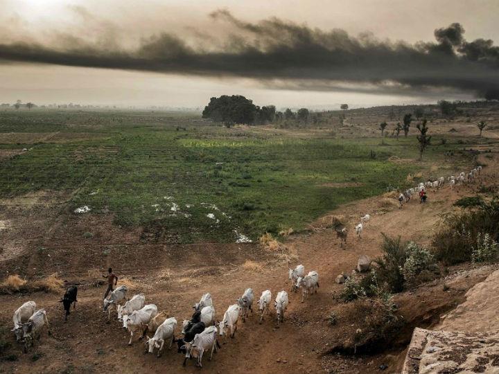 «Η περιορισμένη και ορθότερη εκτροφή ζώων είναι ζωτικής σημασίας για την αντιμετώπιση της κλιματικής αλλαγής, αλλά είναι επίσης απαραίτητο και για την πρόληψη νέων πανδημιών.»