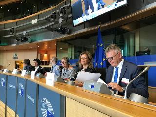 Την ευρεία υποστήριξη της Επιτροπής Απασχόλησης και Κοινωνικών Υποθέσεων του Ευρωπαϊκού Κοινοβουλίου εξασφαλίζει η ελληνική πρόταση για τη θεσμοθέτηση σε ευρωπαϊκό επίπεδο πρόσθετων μέσων και εναλλακτικών τρόπων  για την αύξηση της απασχόλησης σε κράτη- μέλη  της Ε.Ε  που είτε αντιμετωπίζουν ιδιαίτερα προβλήματα με τη μακροχρόνια ανεργία και την ανεργία των νέων , είτε δοκιμάζονται από ποσοστά ανεργίας υψηλότερα του ευρωπαϊκού μέσου ποσοστού(9,5% - 10%)