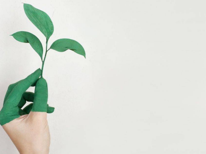 «Γενικά η κοινωνική πλειοψηφία δεν είναι ενημερωμένη και ευαισθητοποιημένη επαρκώς, ούτε αντιμετωπίζει την ρευστότητα της εξέλιξης πέραν των ορίων του ατομικού βιολογικού χρόνου.»