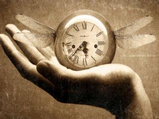 Η άλλη φράση που κυκλοφορεί εδώ και λίγες μέρες στα ΜΜΕ προέρχεται απο το οικονομικό πρόγραμμα της Ν.Δ. Τι λέει λοιπόν, μεταξύ άλλων; Ότι ’’Θα μειώθούν οι φορολογικοί συντελεστές απο 15% στο 5%, για τα μερίσματα’’. Μα καλά, θα πει κάποιος, δεν κατανοούν ότι αυτό είναι ένα αντιαναπτυξιακό μέτρο; Για ποιό λόγο είναι αντιαναπτυξιακό;