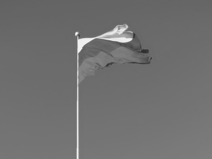 «Η Ρωσία ιστορικά ποτέ δεν γνώρισε δυτικού τύπου κοινοβουλευτική δημοκρατία και μάλλον δύσκολα θα γνωρίσει στο μέλλον».