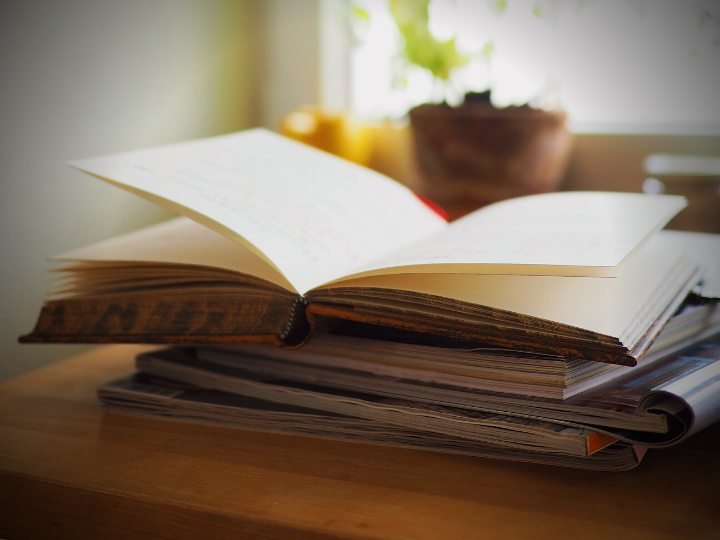 «Ο αναγνώστης του Κοινωνικού Συστήματος, εάν αφεθεί να απορροφηθεί από το έργο, θα βρεθεί σύντομα σε μια «εμπύρετη» θεωρητική διάθεση, παρασυρμένος από τη χειμαρρώδη ροή του.»