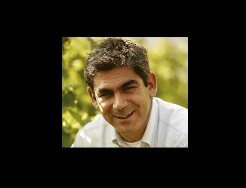 «Σήμερα βρισκόμαστε στο ξεκίνημα μιας νέας εποχής, όπου υπάρχει ξεκάθαρη στρατηγική για την ανάδειξη μιας ζώνης που κάνει κρασιά υψηλού επιπέδου και ιδιαίτερου χαρακτήρα. Η Νάουσα βρίσκεται στην κορυφή της πυραμίδας του ελληνικού κρασιού.»