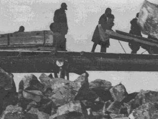 Το σύνολο πλησιάζει τα 100 εκατομμύρια νεκρούς. Αυτή η κλίμακα μεγέθους υποκρύπτει μεγάλες ανισομέρειες. Είναι αναμφισβήτητο ότι, αναλογικά με τον πληθυσμό της, το βραβείο κερδίζει η Καμπότζη, όπου ο Πολ Ποτ μέσα σε τρεισήμισι χρόνια κατάφερε να σκοτώσει με τον πιο φρικτό τρόπο –την γενικευμένη πείνα και τα βασανιστήρια– περίπου το ένα τέταρτο του συνολικού πληθυσμού της χώρας. Παράλληλα, η μαοϊκή εμπειρία εκπλήσσει με το εύρος των μαζών που εμπλέκονται. Όσον αφορά την λενινιστική ή σταλινική Ρωσία, το αίμα μας παγώνει από την πειραματική της όψη, την ωστόσο απολύτως υπολογισμένη, λογική και πολιτική». 