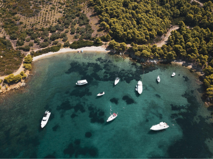 Στη Διάπορο, για την οποία ούτως ή άλλως προβλέπεται από την πολεοδομική νομοθεσία, ήπια τουριστική ανάπτυξη, η ΣΤΑΝΤΑ θα δομήσει συνολικά 8.000 τ.μ. στην έκταση των 100.000 τ.μ. που έχουν αποκτηθεί.