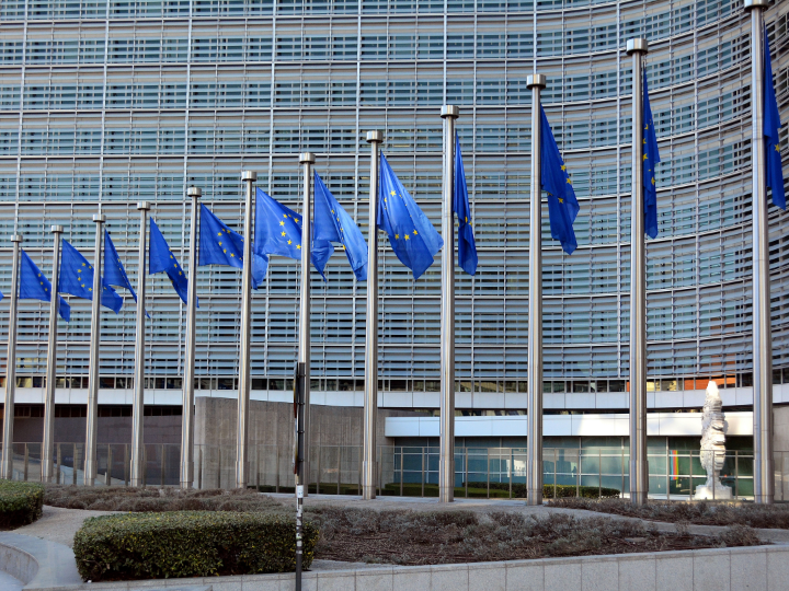 Οι επόμενες προβλέψεις της Ευρωπαϊκής Επιτροπής θα είναι οι εαρινές οικονομικές προβλέψεις 2022, οι οποίες αναμένεται να δημοσιευθούν τον Μάιο του 2022.