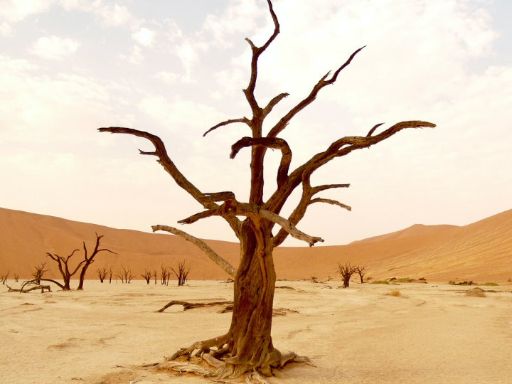  «Η διαχείριση των πολλαπλών κρίσεων επιβάλλει νέες προσεγγίσεις, νέες αντιλήψεις.»