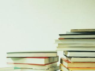 Η περιφρόνηση απέναντι σε όσους υποστηρίζουν ή ανέχονται τον εθνολαϊκισμό, ή ακόμα και σε όσους δεν τον αποστρέφονται μαχητικά, είναι τόσο ισχυρή, που συχνά οι «συστημικοί», και γενικά όσοι ηγούνται των προοδευτικών ρευμάτων και τάσεων, βρίσκονται σε ένα αντιφατικό, ασυνεπές και εφηβικό στάδιο συμπεριφοράς: έχουν τον ενθουσιασμό του νεοφώτιστου που λειτουργεί εις βάρος της ανεκτικότητας ή, άλλες φορές, παρουσιάζουν μία αυτιστική σχολαστικότητα, που τους εμποδίζει να κάνουν κάποιες βασικές τελολογικές ερμηνείες και ελεύθερες κρίσεις. 