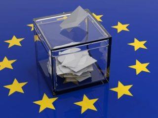 Η μελέτη του ECFR ισχυρίζεται ότι ‘όλα θα εξαρτηθούν όχι μόνο από τις συμμαχίες των κυρίαρχων (δηλαδή των χωρίς επιφυλάξεις προ ευρωπαϊκών) κομμάτων μεταξύ τους καθώς επίσης και στο πώς θα ενεργήσουν για να σαμποτάρουν τη δημιουργία αντιευρωπαϊκών συμμαχιών στο επόμενο Κοινοβούλιο’.