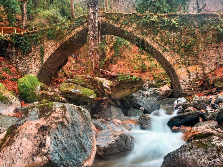 «Δυστυχώς εξακολουθούμε να χάνουμε τη φύση μας», ανέφερε κατά την παρουσίαση της έκθεσης ο Μάικλ Ο’ Μπράιαν, στέλεχος της Γενικής Διεύθυνσης Περιβάλλοντος της Ευρωπαϊκής Επιτροπής.