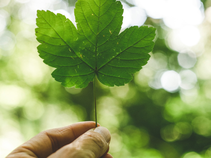 Οι αλτρουιστικές επιχειρήσεις ενεργούν μέσω των βασικών επιχειρηματικών δραστηριοτήτων τους και όχι μέσω εξωτερικών δομών, όπως τα εταιρικά ιδρύματα.
