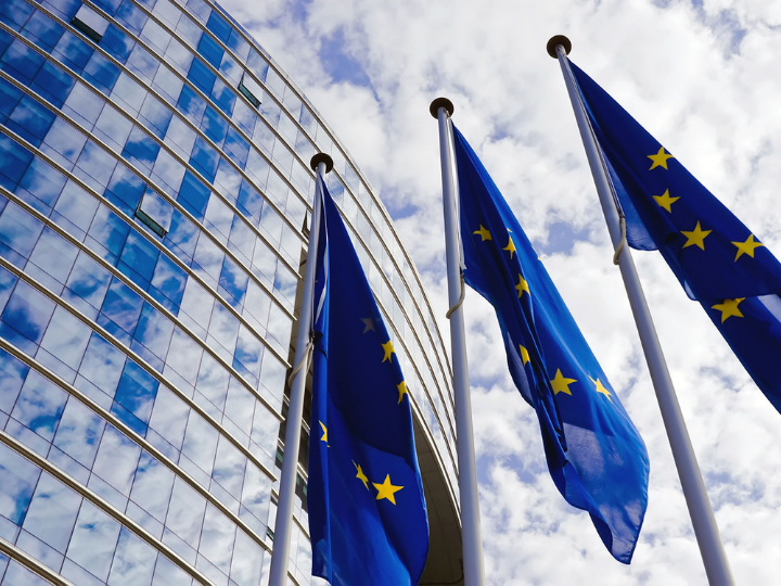 Η Επιτροπή προτείνει μια Ψηφιακή Πυξίδα με σκοπό να συγκεκριμενοποιήσει τις ψηφιακές φιλοδοξίες της ΕΕ για το 2030. Η Ψηφιακή Πυξίδα αναπτύσσεται με βάση τα εξής τέσσερα θεμελιώδη σημεία.
