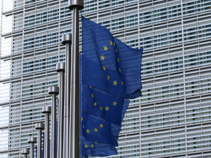 Το TSI 2022 θα συνεχίσει να στηρίζει τα κράτη μέλη στον σχεδιασμό και την υλοποίηση μεταρρυθμίσεων προς την πράσινη και την ψηφιακή μετάβαση, καθώς και στη βελτίωση της επιχειρησιακής ικανότητας και της αποδοτικότητας των δημόσιων διοικήσεών τους.