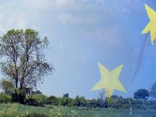 Με επιλεγμένες εκστρατείες αναμένεται να ενισχυθεί η ανταγωνιστικότητα και η κατανάλωση των γεωργικών προϊόντων διατροφής της ΕΕ, να βελτιωθεί η προβολή τους και να αυξηθεί το μερίδιο αγοράς τους στις προαναφερόμενες χώρες-στόχους.
