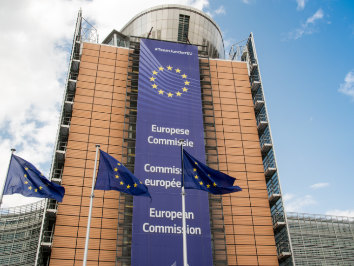 Τόσο η Ευρωπαϊκή Πράσινη Συμφωνία όσο και η ευρωπαϊκή στρατηγική για τη βιοποικιλότητα με ορίζοντα το 2030 τονίζουν ότι είναι σημαντικό η ΕΕ να θέσει τη φύση σε πορεία ανάκαμψης έως το 2030 μέσω της καλύτερης προστασίας και αποκατάστασης υγιών οικοσυστημάτων.