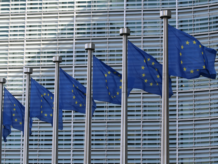 «Κλυδωνίζεται και από τις εσωτερικές συγκρούσεις και αντιφάσεις της, τόσο σε επίπεδο κεντρικών θεσμών/οργάνων όσο και σε επίπεδο κρατών-μελών.»