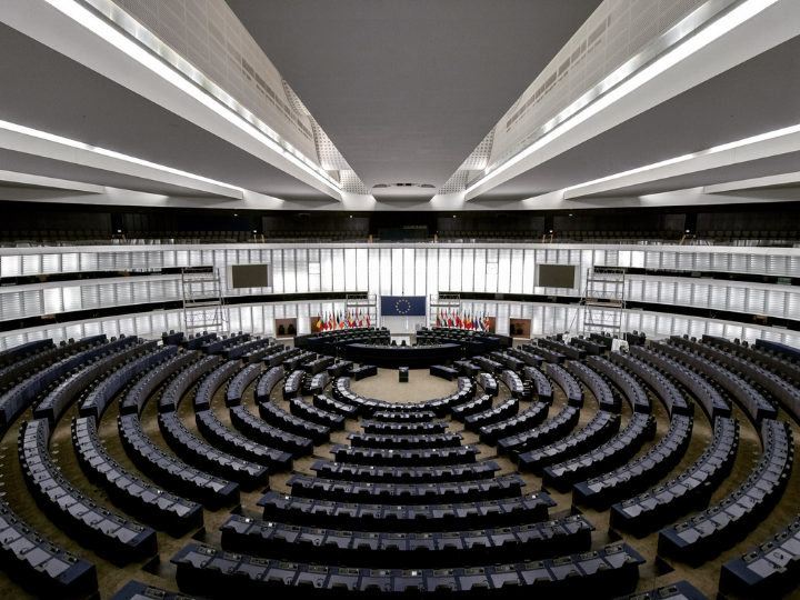 Το ένα τρίτο των ερωτηθέντων (32%) κατατάσσει την δημοκρατία ως πιο σημαντική αξία που πρέπει να υπερασπιστεί το ΕΚ, ακολουθούμενη από την ελευθερία του λόγου και της σκέψης (27%) και τα ανθρώπινα δικαιώματα (25%).