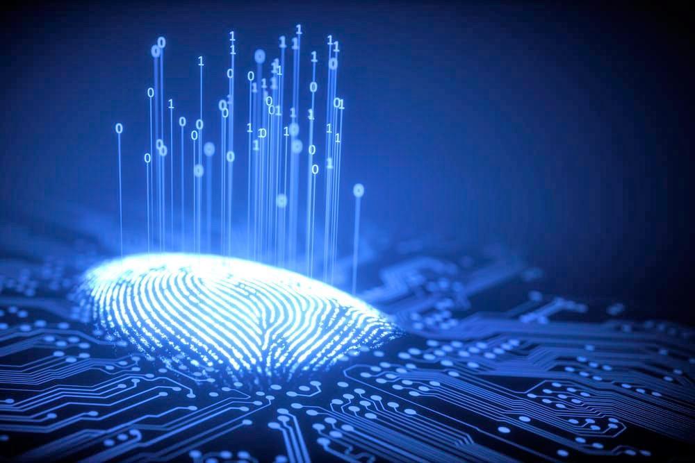 Η αλληλεπίδραση αμυντικής βιομηχανίας και οικονομίας εξαρτάται κυρίως (α) από τις αμυντικές ανάγκες της χώρας και τις οικονομικές της δυνατότητες, (β) από το μέγεθος της αμυντικής βιομηχανίας σε σχέση με την πολιτική βιομηχανία και (γ) το στάδιο της τεχνολογικής ανάπτυξης της χώρας.