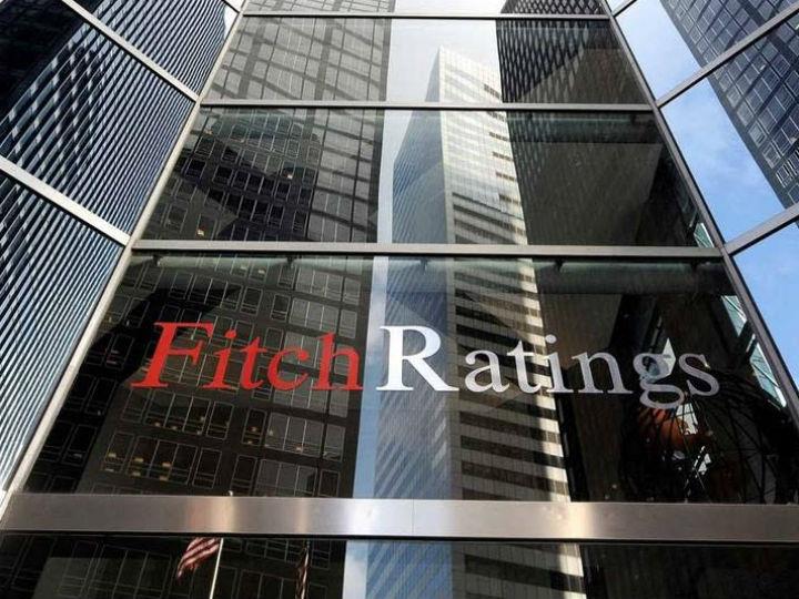 Η Fitch Ratings αξιολόγησε την ευπάθεια των επιμέρους οικονομικών κλάδων σε ένα τέτοιο αρνητικό σενάριο. Οι πιο είναι ευάλωτοι τομείς σε ενέργειες αρνητικής αξιολόγησης σε αυτό το σενάριο είναι κλάδοι των εμπορευμάτων, οι αεροπορικές εταιρείες, τα καταλύματα και το λιανικό εμπόριο εκτός των τροφίμων. Τα ratings σε αυτούς τους τομείς θα μπορούσαν να επηρεαστούν ιδιαίτερα αρνητικά.