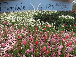 Σε έναν χώρο 660 στρεμμάτων όπου πριν βρισκόντουσαν αγροτικές καλλιέργειες, κοντά στα σύνορα Ολλανδίας- Γερμανίας, δίπλα στην πόλη Venlo, θα πραγματοποιηθεί η 6η FLORIADE. Σε συνέχεια του κεντρικού θέματος της προηγούμενης, του 2002 («να νιώσουμε την τέχνη της Φύσης»), η φετινή FLORIADE επικεντρώνεται στο τι μας προσφέρει η Φύση διαδραστικά.