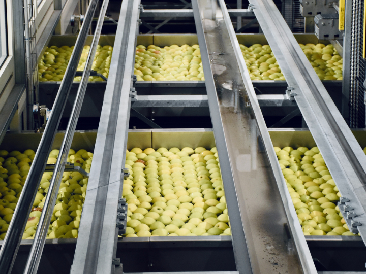 Για να ανταποκριθούν στις νέες συνθήκες της αγοράς, στις νέες τάσεις και στις διαφοροποιημένες ανάγκες των καταναλωτών, οι επιχειρήσεις του κλάδου επιπλέον επενδύουν στην ψηφιακή τους αναβάθμιση, στην έρευνα και την καινοτομία. Έχει αποδειχτεί στην πράξη ότι οι επιχειρήσεις, μέσω της υιοθέτησης νέων τεχνολογιών επιδιώκουν και καταφέρνουν τη βελτιστοποίηση των πρακτικών και των διαδικασιών παραγωγής και διανομής, πετυχαίνοντας και καλύτερη διαχείριση των διαθέσιμων πόρων. 