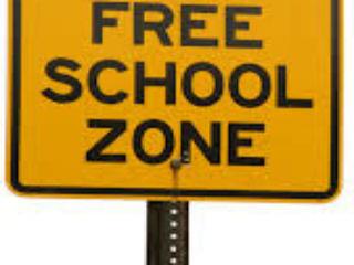 Οραματίζομαι το Σχολείο ως επίκεντρο της μείζονος αναπτυξιακής αλλαγής που χρειάζεται εδώ και τώρα η πατρίδα μας. Στην συλλογική μνήμη, το Σχολείο έχει καταγραφεί ως το φυτώριο της εθνικής αυτοσυνείδησης, ως κοινωνικό κύτταρο ισοδύναμο, αν όχι ισχυρότερο, από την οικογένεια. Έχει, όμως, καταγραφεί, δυστυχώς, και ως εργαλείο της άρχουσας αντίληψης για την διαμόρφωση κοινωνίας υποτακτικών πολιτών, κομματικών στρατιωτών και τροφίμων του Δημοσίου Ταμείου.