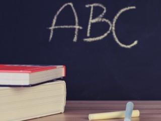 «Τα κορίτσια αποτελούν την πλειοψηφία σε μια περιοχή δέκα εκατομμυρίων παιδιών, που δεν λαμβάνουν τυπική εκπαίδευση, εξαιτίας της έλλειψης σχολείων, της φτώχειας, του φόβου απέναντι στη βία, και των κοινωνικών προτύπων.»