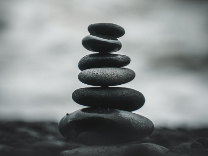 Η μόνη ισότητα που είναι απόλυτα λογική και δεν διαστρεβλώνει την κοινωνική πραγματικότητα είναι η ισότητα απέναντι στον νόμο. 