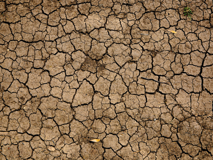 «Δυστυχώς στις σύγχρονες μαζοποιημένες μονοδιάστατα καταναλωτικές κοινωνίες δεν έχουν αξιακό φορτίο το κοινωνικό και το ανθρώπινο συμφέρον.»