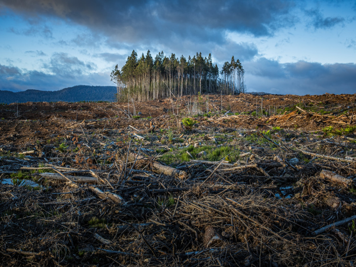 Σύμφωνα με έρευνα, που πραγματοποίησε ο οργανισμός Ipsos Mori για λογαριασμό του Global Commons Alliance (GCA) τον Απρίλιο και τον Μάϊο του 2021 στους πολίτες των κρατών-μελών του G20, το 73% θεωρούν, ότι η ανθρώπινη δραστηριότητα οδηγεί τον κόσμο σε σημείο καμπής. 