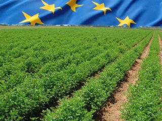 Διττές είναι οι απαντήσεις όσον αφορά την κατάσταση των αγροτικών περιοχών συγκριτικά με την περίοδο πριν από μια δεκαετία. Ενώ δηλαδή οι ερωτώμενοι θεωρούν βελτιωμένη την ευρυζωνική – διαδικτυακή και τηλεφωνική τους κάλυψη σε ποσοστό 66% (ΕΕ 64%) δεν συμβαίνει το ίδιο και ως προς την κοινωνική τους ένταξη με 35%  (ΕΕ 28%) να δηλώνει πως έχει παραμείνει η ίδια και 32% (ΕΕ 30%) να πιστεύει πως έχει χειροτερέψει. 