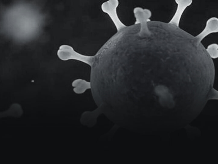 «Μήπως ο ιός αυτός είναι η αιτία που θα προκαλέσει το τέλος του είδους μας, που έχει καταφέρει να κάψει τα δάση, να δηλητηριάσει τη Γη, να ανεβάσει την μέση θερμοκρασία της  με τιςεκπομπές CO2;»