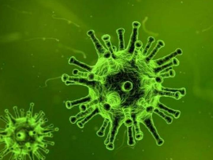 Στο πρώτο εννεάμηνο του τρέχοντος έτους το εισόδημα από την εργασία μειώθηκε παγκοσμίως κατά 10,7% ή 3,5 τρισ. δολ. σε ετήσια βάση, ενώ στο τελευταίο τρίμηνο του έτους οι νέες εκτιμήσεις του Οργανισμού κάνουν λόγο για απώλεια 245 εκατομμυρίων θέσεων εργασίας πλήρους απασχόλησης, αριθμός πολύ υψηλότερος των αρχικών προβλέψεων.