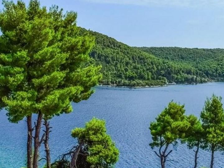 Οι προστατευόμενες περιοχές αντιστοιχούν κοντά στο 1/3 της έκτασης της χώρας και τις διαχειρίζονται 36 φορείς.