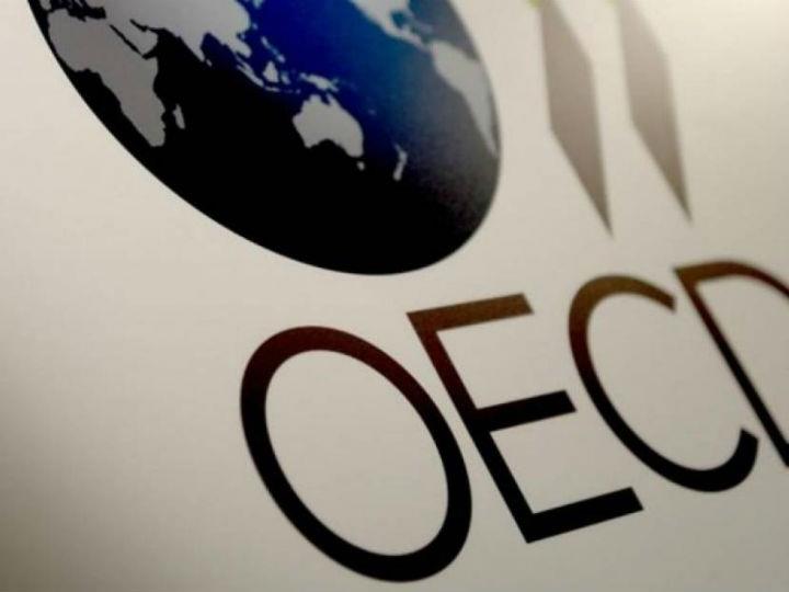 Η έκθεση του ΟΟΣΑ επισημαίνει επίσης, στις παρατηρήσεις της για το εκπαιδευτικό σύστημα, ότι πολλοί Ελληνες μαθητές της δευτεροβάθμιας εκπαίδευσης στερουνται βασικών δεξιοτήτων και ότι οι καθηγητές δεν έχουν την ευκαιρία να αναδείξουν τις ικανότητές τους και να διεκδικήσουν αναγνώριση για τις επιδόσεις τους.