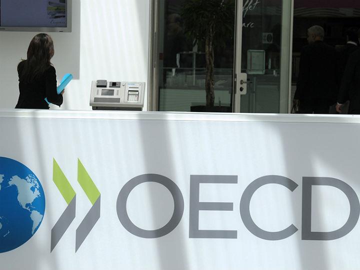 Ο διεθνής οργανισμός προειδοποιεί ότι θα υπάρξει αύξηση πτωχεύσεων και πιθανώς μακρά περίοδος ανεργίας, η οποία δεν θα αποκλιμακώνεται.