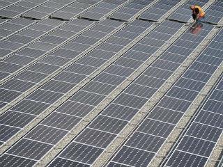 Όπως επισημαίνουν οι ειδικοί, πρόκειται για τις ίδιες πρακτικές που τον τελευταίο μισό αιώνα έχουν εξαλείψει πάνω από το 70% του πληθυσμού τριών ειδών πτηνών και συνεχίζουν να πλήττουν τη βιοποικιλότητα του τόπου. Η ευρείας κλίµακας επέκταση της παραγωγής όχι μόνο έχει «καταπιεί» τους μικροκαλλιεργητές, αλλά έχει αλλοιώσει τα παραδοσιακά τοπία και έχει βλάψει σοβαρά το περιβάλλον, όλα στο όνομα της αυξημένης αποδοτικότητας.