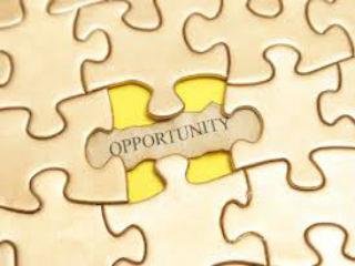 Γιατί ο βουλευτής εργάζεται στο κοινοβούλιο, μετέχοντας σε επιτροπές και στην ολομέλεια και πηγαίνοντας σε αποστολές, όπου προάγει τα συμφέροντα της χώρας του και όχι σε ταξιδάκια αναψυχής, όπως αυτό των Καμμένου-Κατσίκη στην Τάμτα των Ηνωμένων Πολιτειών, για να γιορτάσουν με μια χούφτα ομογενών, δήθεν την 25η Μαρτίου. 