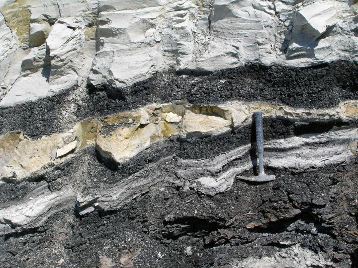 Οι προτεραιότητες των επιχειρήσεων στο 2020 διαφοροποιήθηκαν και δόθηκε ιδιαίτερη έμφαση στη διασφάλιση της υγείας εργαζομένων και συνεργατών, στη διατήρηση της απασχόλησης, στην απρόσκοπτη εξυπηρέτηση των πελατών και στην τόνωση των επενδύσεων σε ένα περιβάλλον κατάρρευσης της ζήτησης και της προσφοράς.