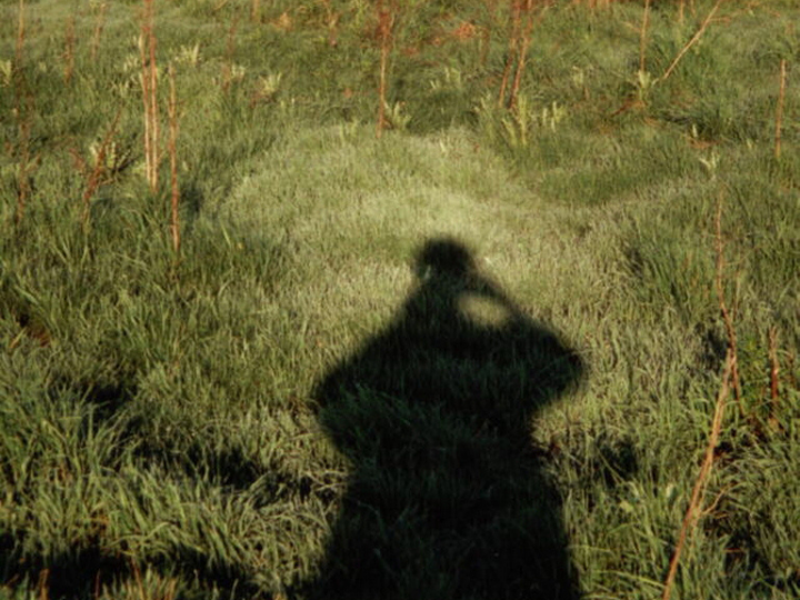 «Τα περισσότερα πρωινά, πεταγόταν ανάλαφρος από το κρεβάτι, τραβούσε την κουρτίνα, άνοιγε διάπλατα το παράθυρο και ανέπνεε τον πρωινό αέρα. Τώρα σηκωνόταν πιο προσεκτικά, για να μη σκοντάψει στο πάπλωμα και πάθει κανένα διάστρεμμα.»