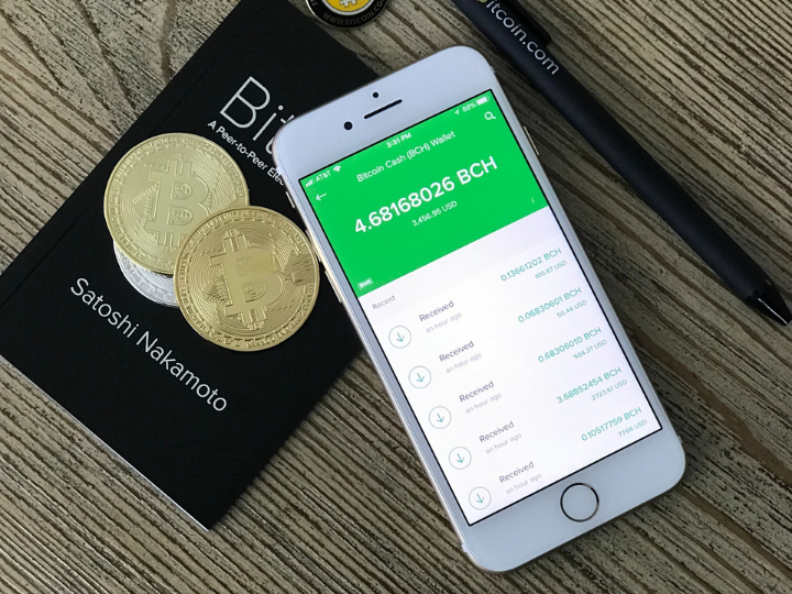 «Σύμφωνα με τον νέο νόμο όλα τα ιδρύματα που κάνουν οικονομικές συναλλαγές θα είναι υποχρεωμένα εφ’ εξής να αποδέχονται το κρυπτονόμισμα ως μέσο πληρωμής.»