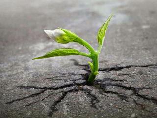 Η πολιτική ψάχνει την λύση, η κοινωνία ζητάει την λύτρωση.