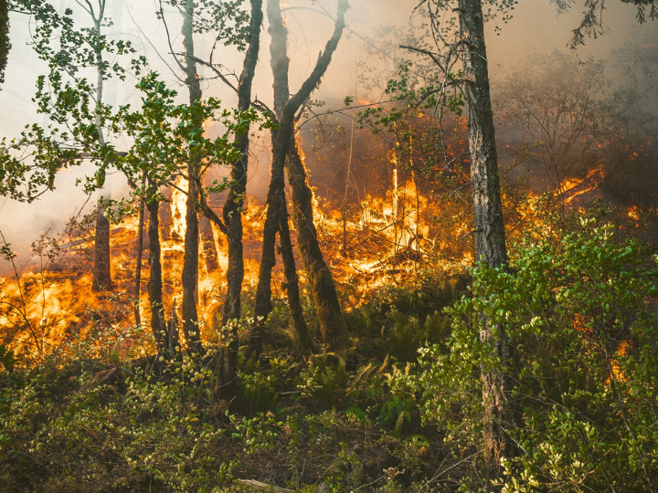 «Η χώρα μας είναι πραγματικά ουραγός σε ασφάλιστρα για την προστασία της περιουσίας στην Ευρώπη, όπως προκύπτει από τα στοιχείου του Insurance Europe.»